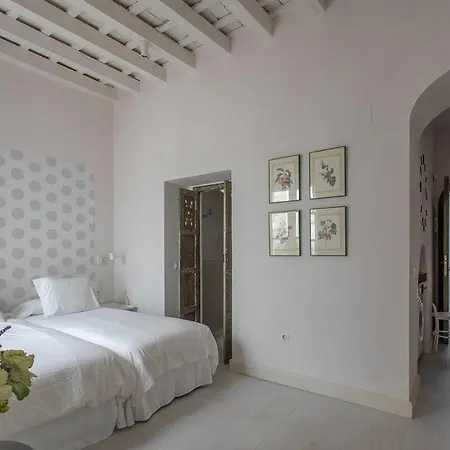 Taina Bajo Muro Apartamento Jerez de la Frontera